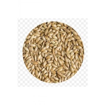 Quik Aspur 300 gr Kuş Yemi