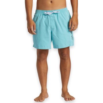 Quiksilver AQYJV03139 Açık Mavi Everyday Vert Volley 16 Erkek Şort Mayo