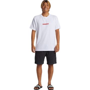 Quiksilver AQYZT09602 Qs Clicker Logo Dna Erkek Tişört