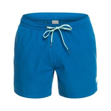 Quiksilver EQYJV03531-BRT0 Mavi Everyday 15 Jamv Erkek Deniz Şortu