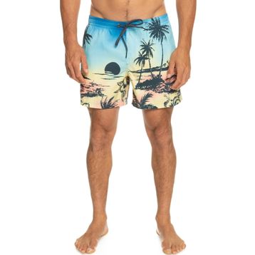 Quiksilver EQYJV03999 Paradise 15 M Volley Gri Erkek Şort