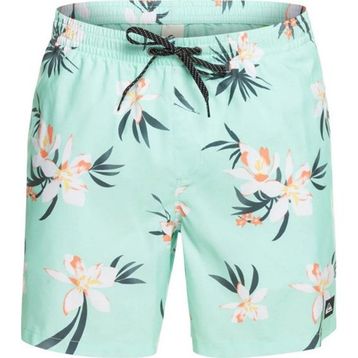 Quiksilver Eqyjv04002 Mix 17 M Jamv Erkek Şort Mayo