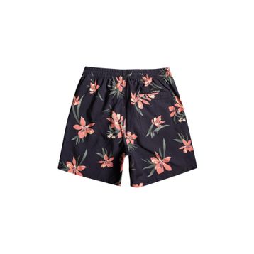 Quiksilver EQYJV04002-WDW6 Mix 17 M Jamv Beyaz Erkek Deniz Şortu