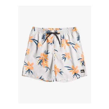 Quiksilver EQYJV04002-WDW6 Mix 17 M Jamv Beyaz Erkek Deniz Şortu
