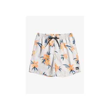 Quiksilver EQYJV04002-WDW6 Mix 17 M Jamv Beyaz Erkek Deniz Şortu