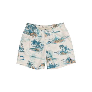 Quiksilver EQYJV04063 Antrasit Erkek Mayo Şort
