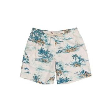 Quiksilver EQYJV04063 Antrasit Erkek Mayo Şort