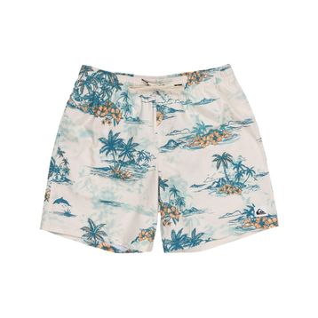 Quiksilver EQYJV04063 Antrasit Erkek Mayo Şort