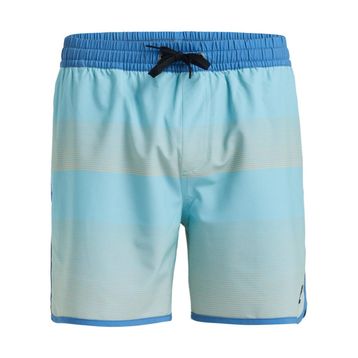 Quiksilver EQYJV04108-BGW6 Surfsilk Scallop Volley 16 Mavi Erkek Deniz Şortu