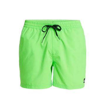 Quiksilver EQYJV04120-GGY0 Everyday Solid Yeşil Erkek Deniz Şortu