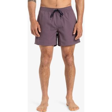 Quiksilver EQYJV04120-PQC0 Everyday Solid Volley 15 Erkek Şort Mayo