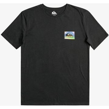 Quiksilver Eqyzt07229-Kvj0 Colourflow M Tees Erkek Spor Tişört