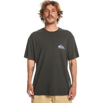 Quiksilver EQYZT07654 Take Us Back Logo Ss Erkek Tişört