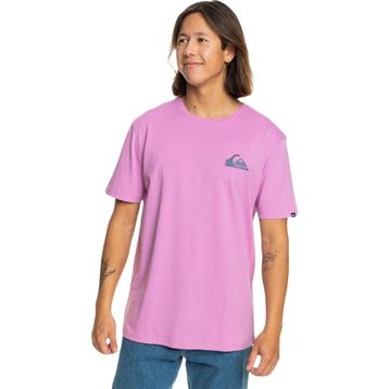 Quiksilver EQYZT07657 Mw Mini Logo Ss Erkek Tişört