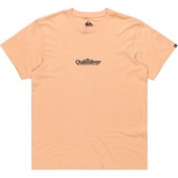 Quiksilver EQYZT08062-MEF0 Fineline Ss Erkek Spor Tişört
