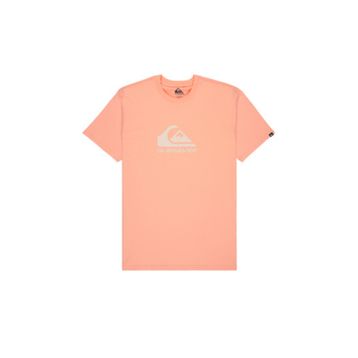 Quiksilver EQYZT08072-MEF0 Ev Comp Logo Çok Renkli Günlük Stil Erkek T-shirt