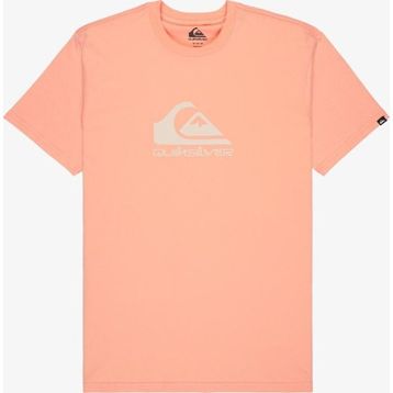 Quiksilver EQYZT08072-MEF0 Ev Comp Logo Ss Erkek Spor Tişört