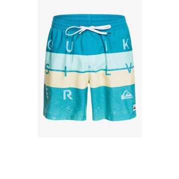 Quiksilver WORD BLOCK VOLLEY Erkek Şort