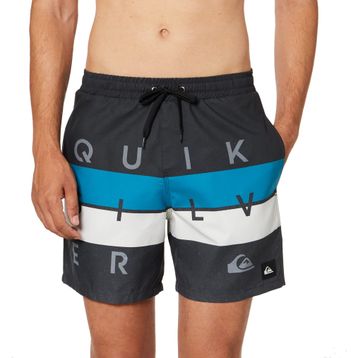 Quiksilver WORD BLOCK VOLLEY Erkek Şort