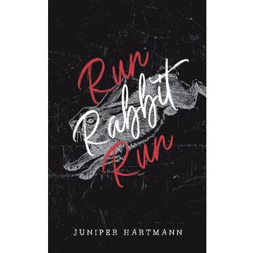 Rabbit, Run - John Updike