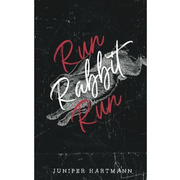 Rabbit, Run - John Updike