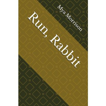 Rabbit, Run - John Updike