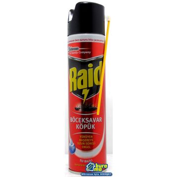 Raid Böceksavar Köpük