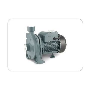 Rain Pump CPM146 Santrifuj Pompası