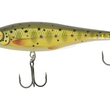 Rapala BX Minnow 100 mm TR Sahte Balık