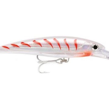 Rapala CG 160 mm X-Rap Magnum Maket Balık