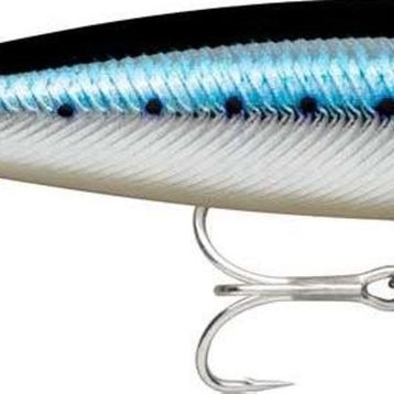 Rapala Precision Xtreme Pencil Saltwater BSRDL 107 mm Sahte Balığı