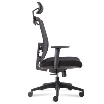 Rapido Fileli Başlıklı Ergonomik Yönetici Koltuğu