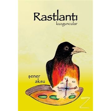 Rastlantı - Hasan Tekin Özel