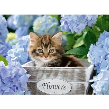 Ravensburger 128945 300 Parça Kedicik Çocuk Puzzle