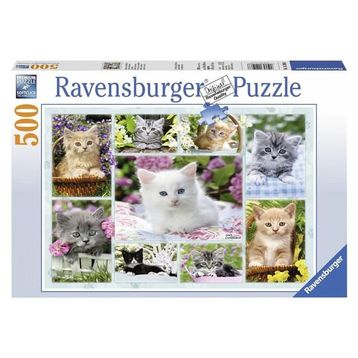 Ravensburger 141968 Sepette Kedi 500 Parça Yetişkin Puzzle
