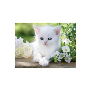 Ravensburger 162437 Beyaz Kedi 1500 Parça Puzzle