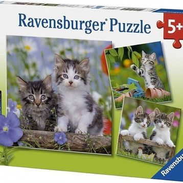 Ravensburger 3x49 Parça Kedi Yavruları Puzzle