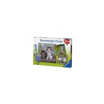 Ravensburger 3x49 Parça Kedi Yavruları Puzzle