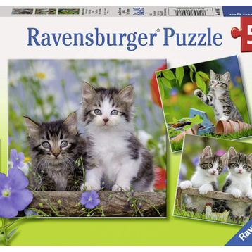 Ravensburger 3x49 Parça Tiger Babies Çocuk Puzzle