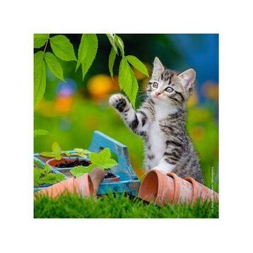 Ravensburger 80465 Tiger Babies 3x49 Parça Puzzle
