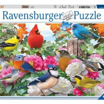 Ravensburger Bahçe Kuşları 500 Parça Puzzle