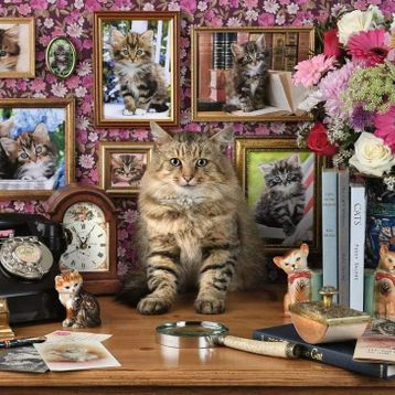 Ravensburger Cute Kitty 1000 Parça Puzzle