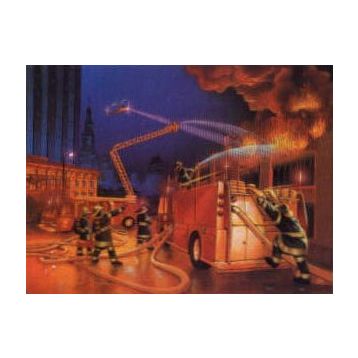 Ravensburger Fairies 80 Parça Puzzle