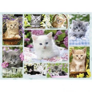 Ravensburger Sepetteki Kediler 500 Parça Puzzle