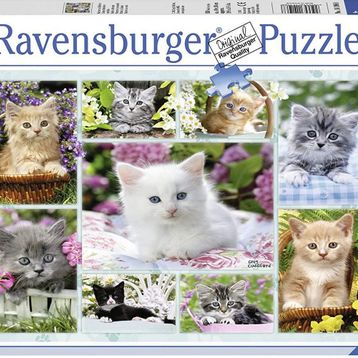 Ravensburger Sepetteki Kediler 500 Parça Puzzle