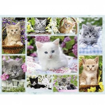 Ravensburger Sepetteki Kediler 500 Parça Puzzle