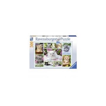 Ravensburger Sepetteki Kediler 500 Parça Puzzle