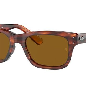 Ray-Ban 0RB2283 954/33 55 Kahverengi Erkek Güneş Gözlüğü