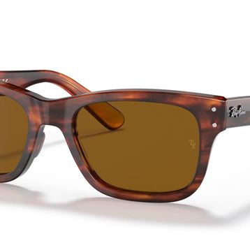 Ray-Ban 0RB2283 954/33 55 Kahverengi Erkek Güneş Gözlüğü