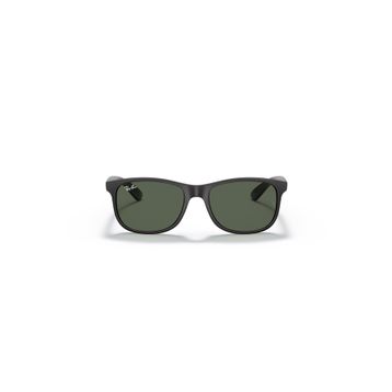 Ray-Ban 0RB4202 606971 55 Erkek Güneş Gözlüğü